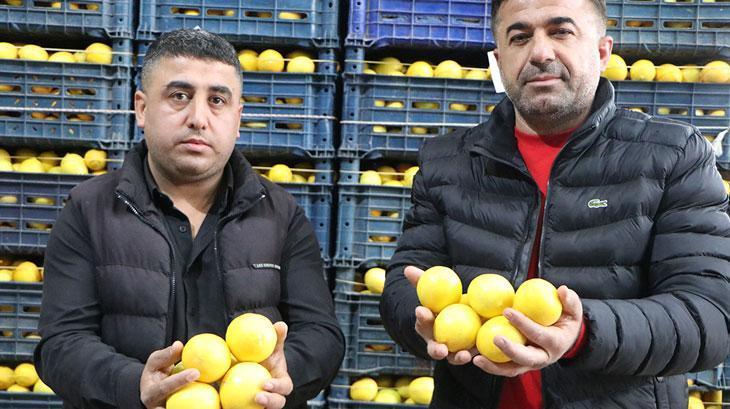 3 TL’ye halde satılan limonun fiyatı markette 30 TL’yi aştı